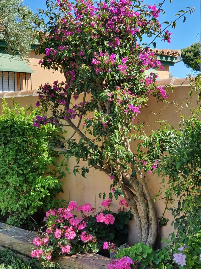 Villa Ostrero Chiclana de la Frontera Extérieur photo